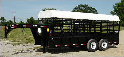 Stock options cattle sales